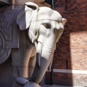kh adv elefant left