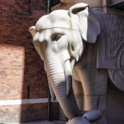 kh adv elefant right